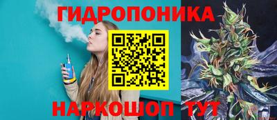 mdpv Славгород