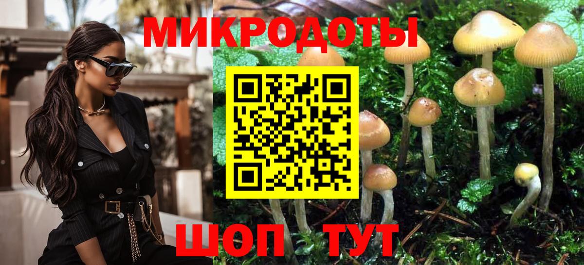 что такое наркотик  Галлюциногенные грибы Psilocybine cubensis  Вход с VPN  Протвино 